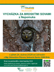 Vycházka sovy - Nepomuk