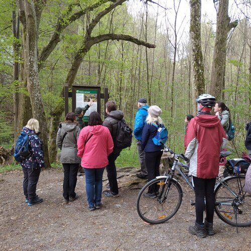 Tomas_Ruzicka_vypravi_o_ptacich