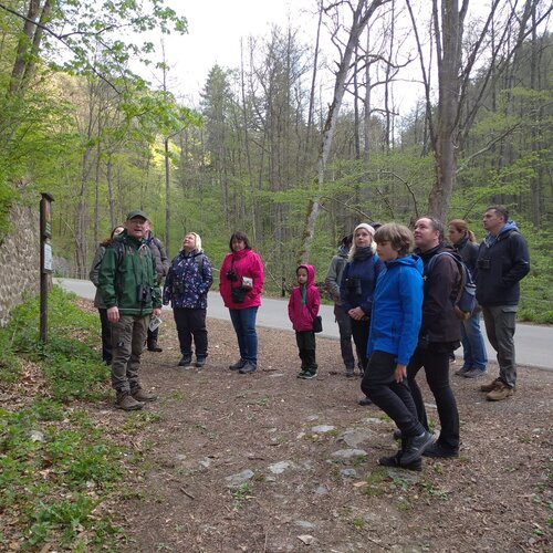 poslouchani_hlasu_ptaku