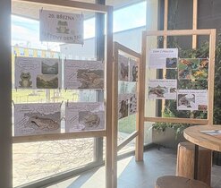 20. března se každoročně slaví Světový den žab.
