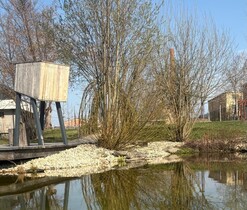 Světový den žab a Světový den vody