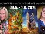 Výstava obrazů a aukce