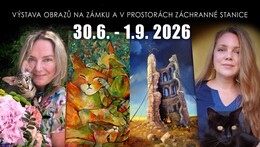 Výstava obrazů a aukce