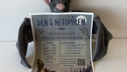 Den s netopýrem