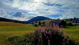 DEN HORALŮ 