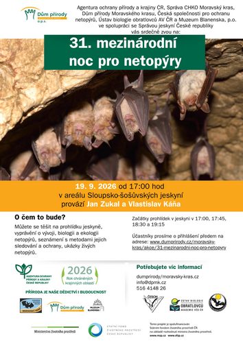 netopyri_noc_sloup netopyri_noc_sloup