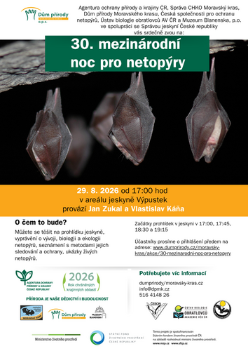 netopyri_noc_vypustek netopyri_noc_vypustek