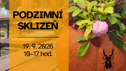 Podzimní sklizeň