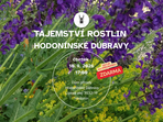 Tajemství rostlin Hodonínské Dúbravy Tajemství rostlin Hodonínské Dúbravy