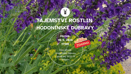 Tajemství rostlin Hodonínské Dúbravy