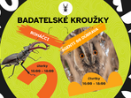 Dětské badatelské kroužky