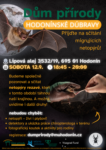 sčítání netopýrů sčítání netopýrů
