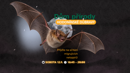 POČÍTÁME S VÁMI! netopýry
