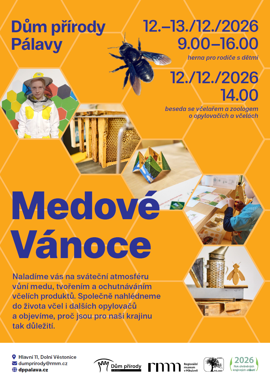 2026-12_vanoce