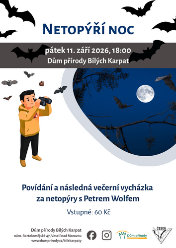 Netopýří noc plakát Netopýří noc plakát