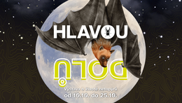 Hlavou dolů - výstava o životě netopýrů