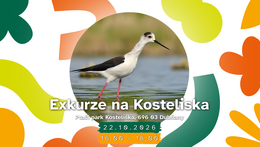 Exkurze na Kosteliska