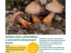 Mykologická výstava s přednáškou