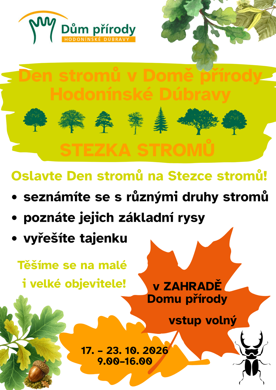 Stezka stromů Stezka stromů