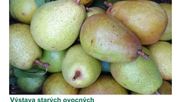 Pomologická výstava s přednáškou