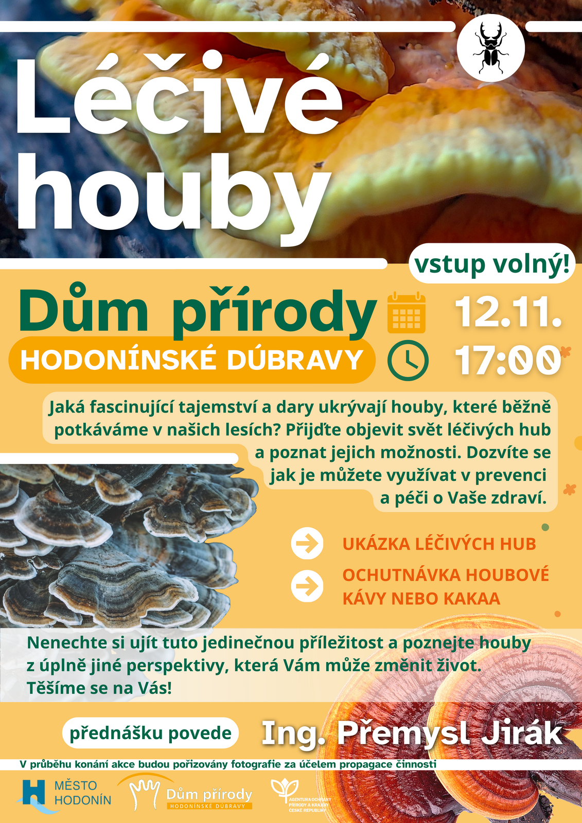 Léčivé houby _JK - úpravy JHO Léčivé houby _JK - úpravy JHO